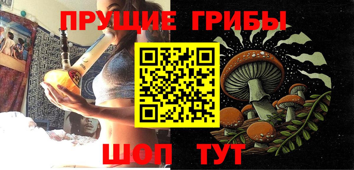Псилоцибиновые грибы Cubensis  Вход с VPN  Псилоцибиновые грибы мухоморы  Тосно 